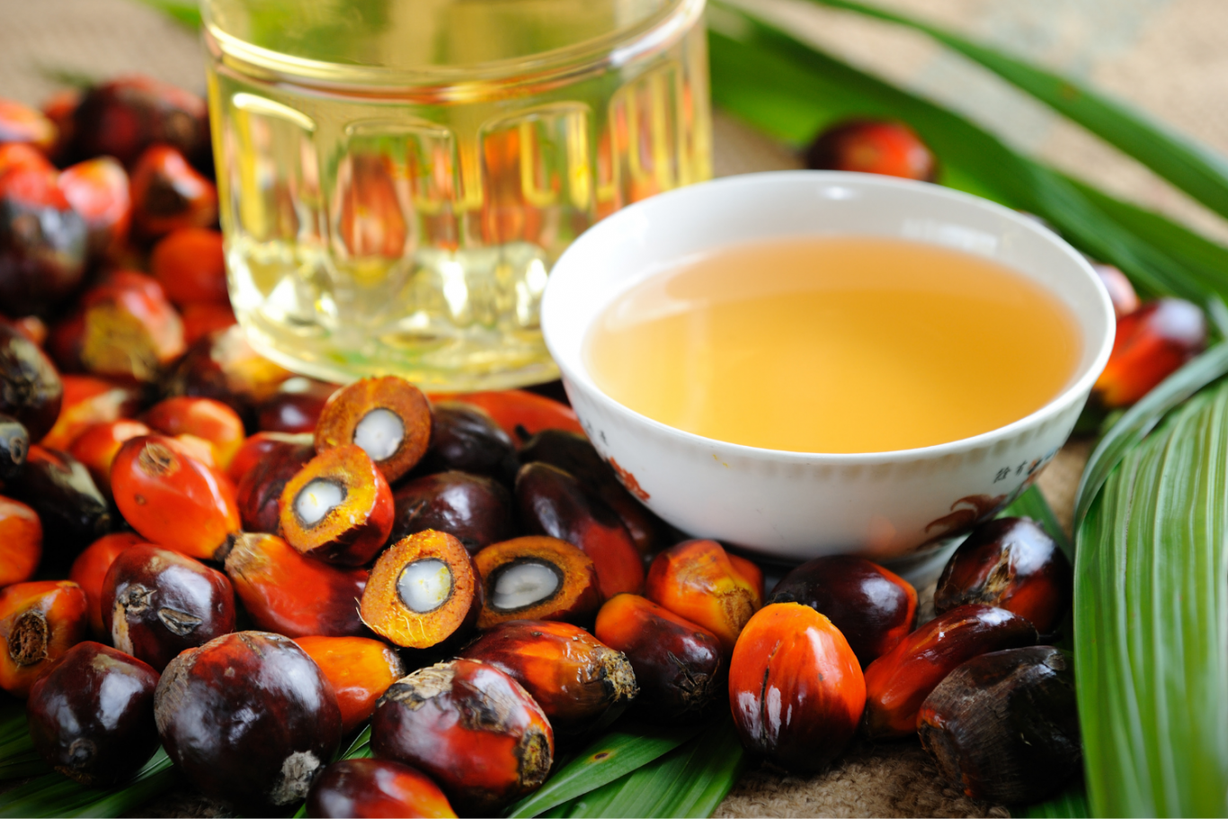 La industria del aceite de palma de Malasia se verá afectada por la reducción de impuestos de Indonesia