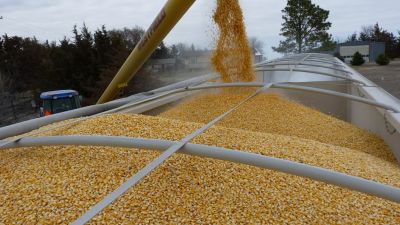 Argentina enfrenta nuevos desafíos agrícolas en la Campaña Gruesa 2024/25