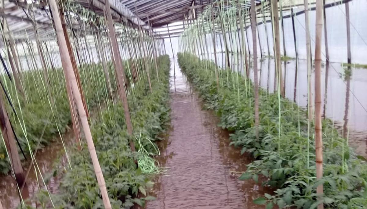 El Gobierno le otorgará asistencia financiera a productores frutihortícolas afectados por lluvias y granizos