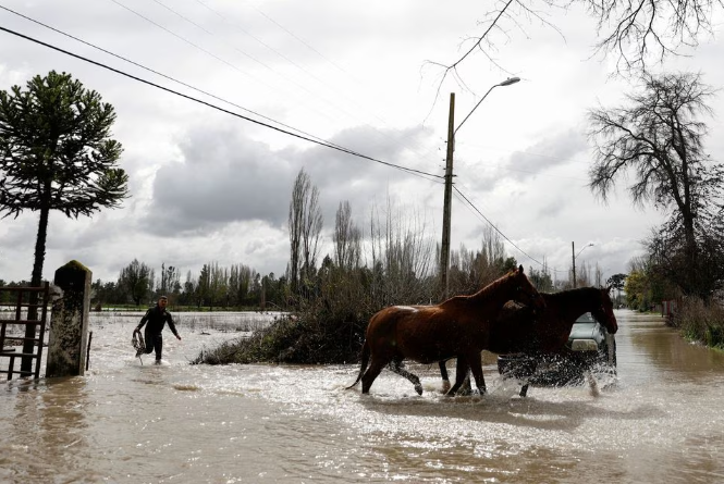 Lluvias Extremas en Chile Causan Pérdidas Agrícolas de Más de Mil Millones de Dólares