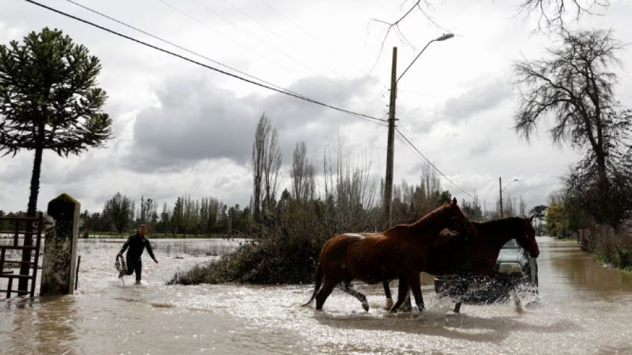 Lluvias Extremas en Chile Causan Pérdidas Agrícolas de Más de Mil Millones de Dólares