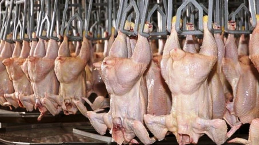 Macedonia del Norte abrió su mercado para la carne aviar argentina