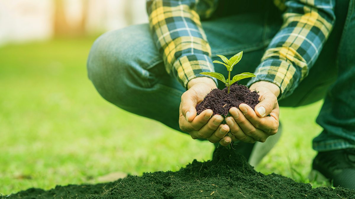 La agroecología, un camino hacia la agricultura sustentable