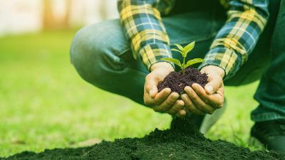 La agroecología, un camino hacia la agricultura sustentable