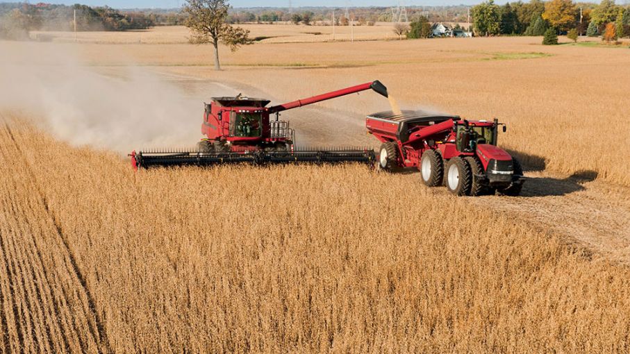 Precio del Trigo a la Baja Mientras se Esperan Novedades en el Mar Negro: Impacto en el Mercado Local de Soja y Maíz