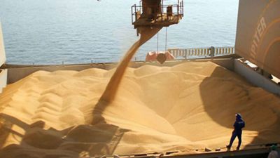 Exportaciones agroindustriales en mayo: la soja lideró la caída y el maní sorprendió al alza