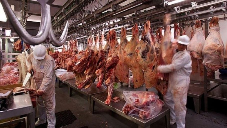 La Aduana suspendió a otro frigorífico por subfacturar ventas a China e Israel