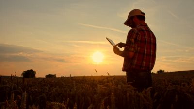 Mejora sostenida en la confianza del agro: se recupera el ánimo inversor y el clima vuelve al centro de la escena
