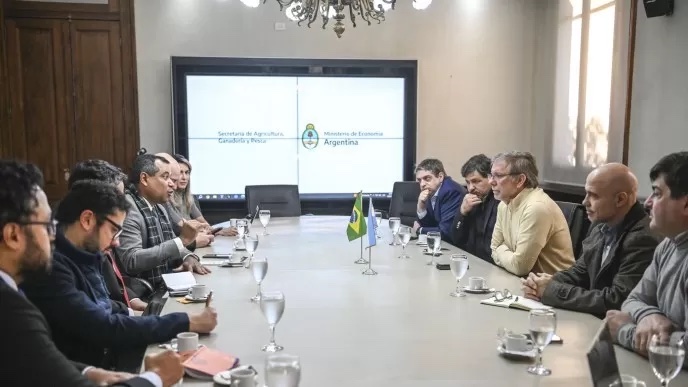 Bahillo se reunió con autoridades brasileñas para fortalecer políticas regionales por fertilizantes