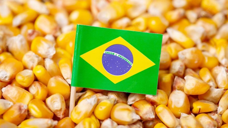 Brasil se convirtió en el principal exportador mundial de maíz y soja