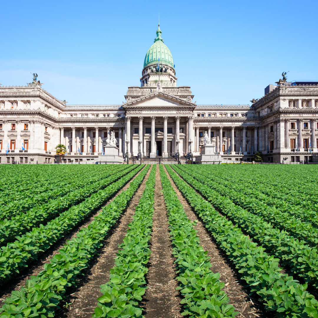 El agro vuelve al Congreso: entidades expondrán sobre retenciones ante diputados