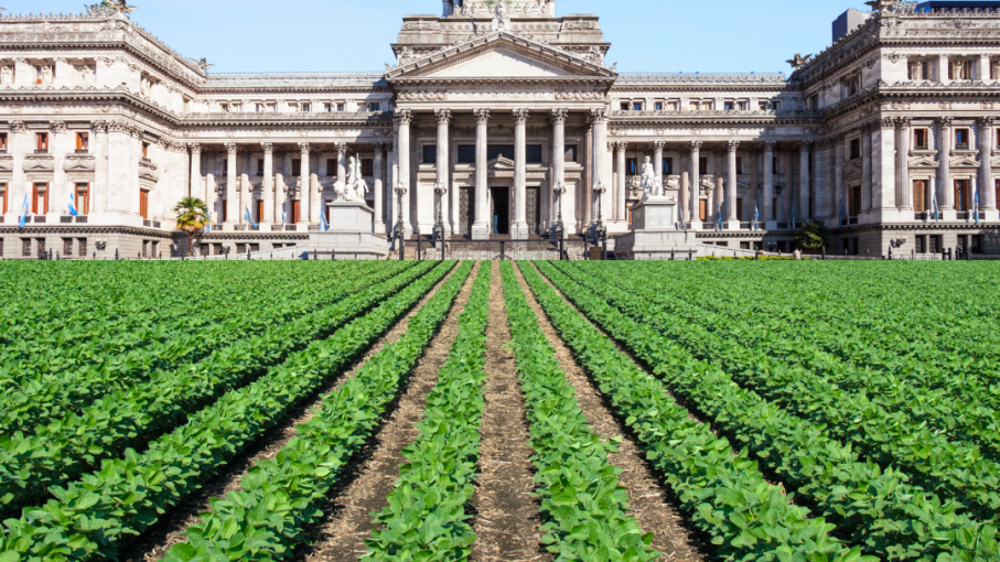 El campo lleva su aporte al Congreso Nacional