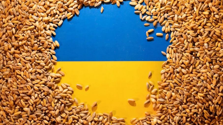 Polonia no cambiará su decisión de prohibir las importaciones de cereales a pesar de la demanda de Ucrania 