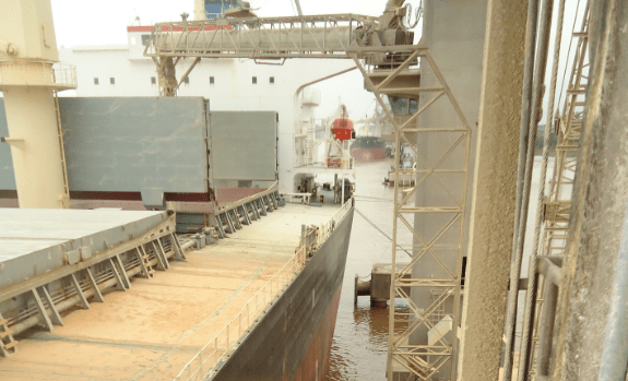 Agricultura autoriza prórroga por 240 días para exportadores que ya estaban en el agro dólar