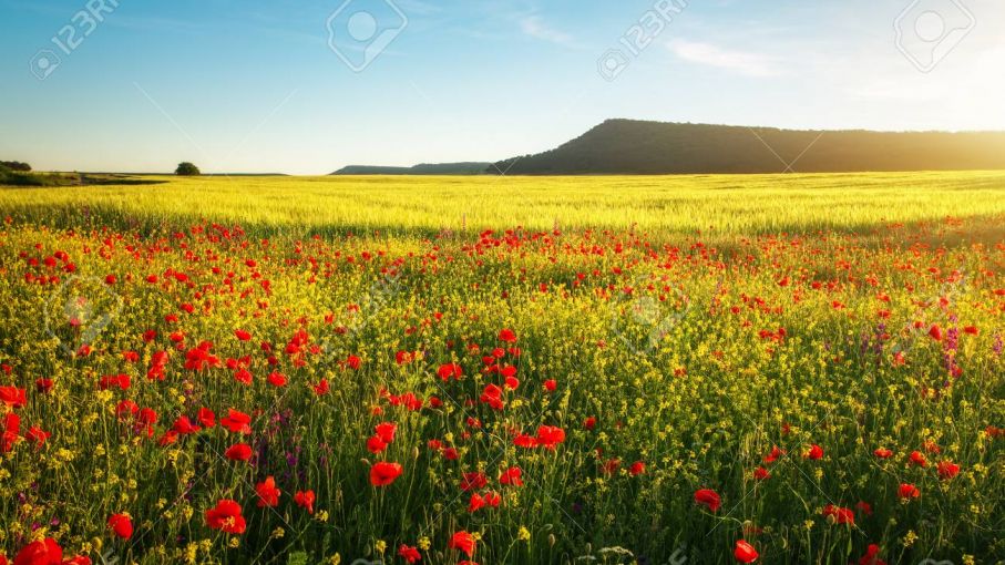 Cambios climáticos marcan el inicio de la primavera en la zona agrícola, Como viene el clima para el sector?