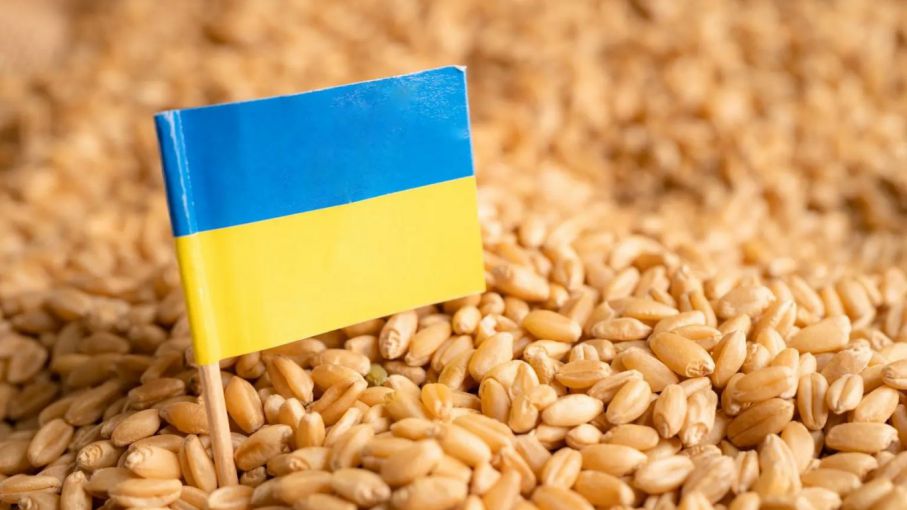 Polonia está dispuesta a llegar a un acuerdo sobre las importaciones de cereales ucranianos. 