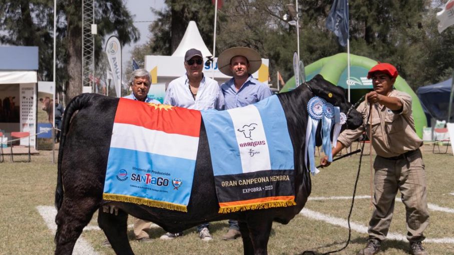 La Cabaña salteña Juramento consiguió el premio Gran Campeón Hembra Brangus en ExpoBra 2023