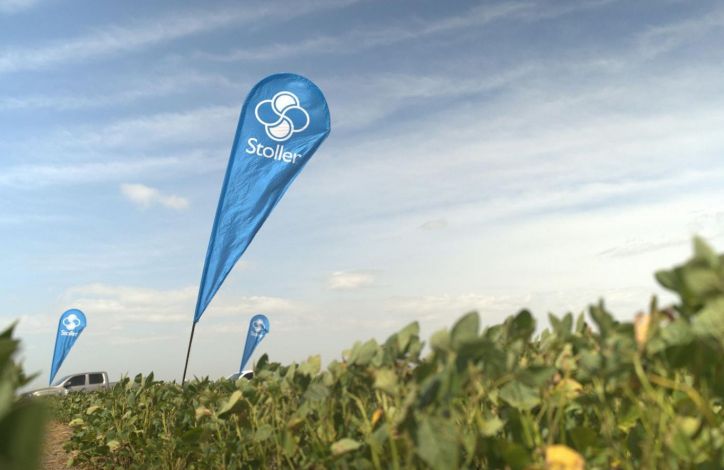 Stoller lanza "Soja Fuerte", para maximizar rendimientos y mejorar el manejo de malezas