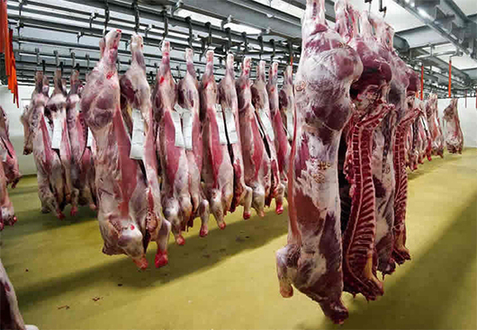 Proyecto de Ley Antimonopolio para el Mercado de la Carne en EE. UU.: ¿El Fin de los Gigantes del Sector?