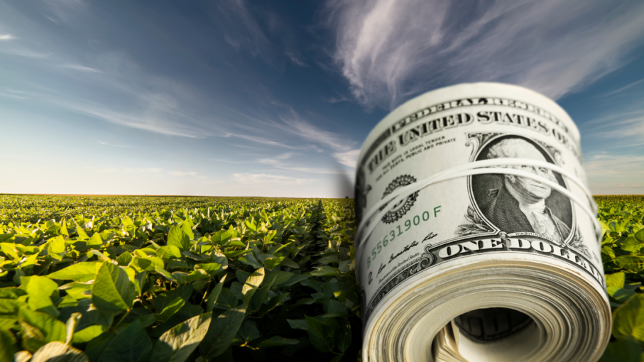 Equilibrio fiscal antes que reducciones de retenciones: enfoque del gobierno para el sector agropecuario