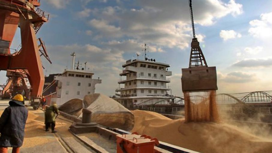 El sector agroindustrial exportó en octubre un 43,8% menos que en igual período del 2022