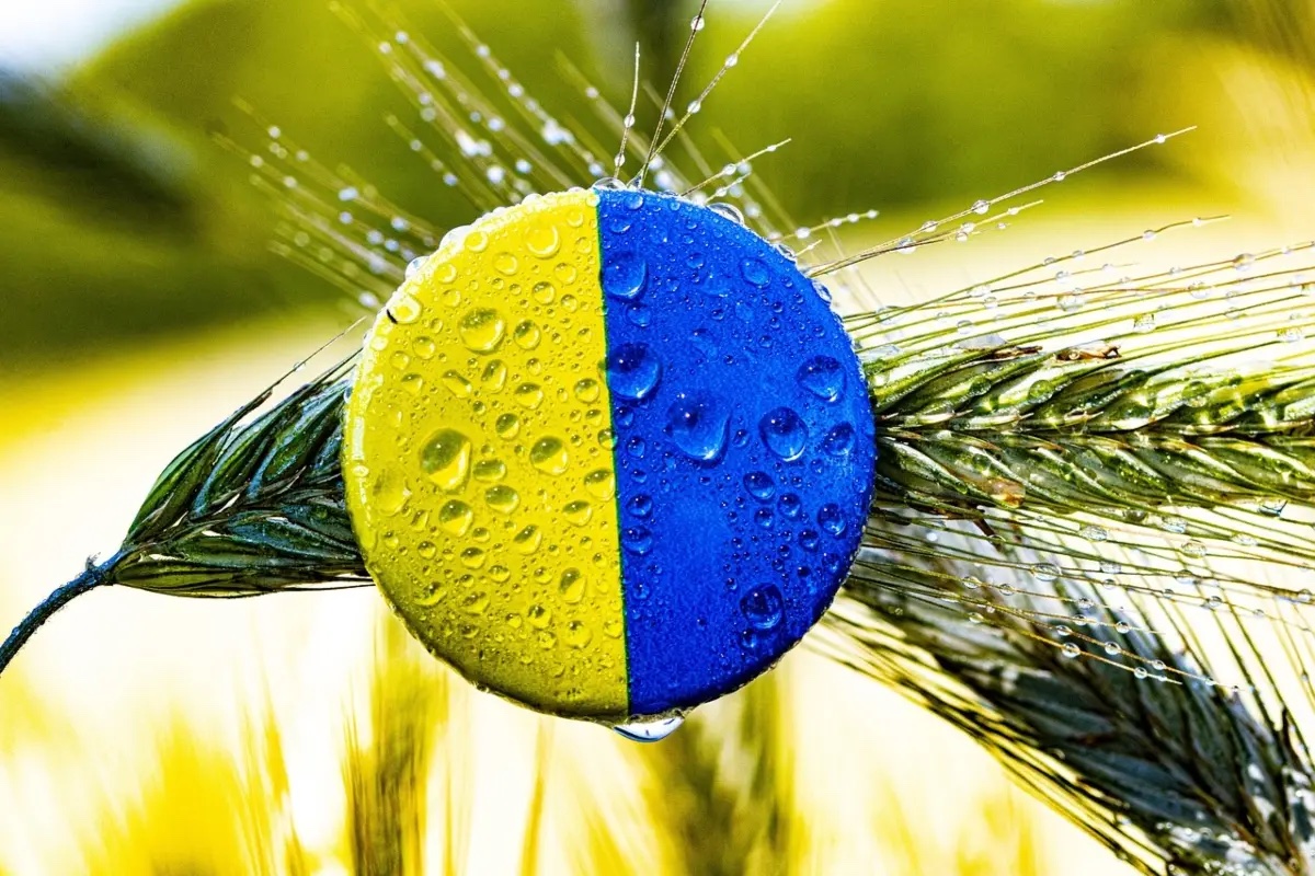 Ucrania podría exportar hasta el 75% del grano cosechado este año 