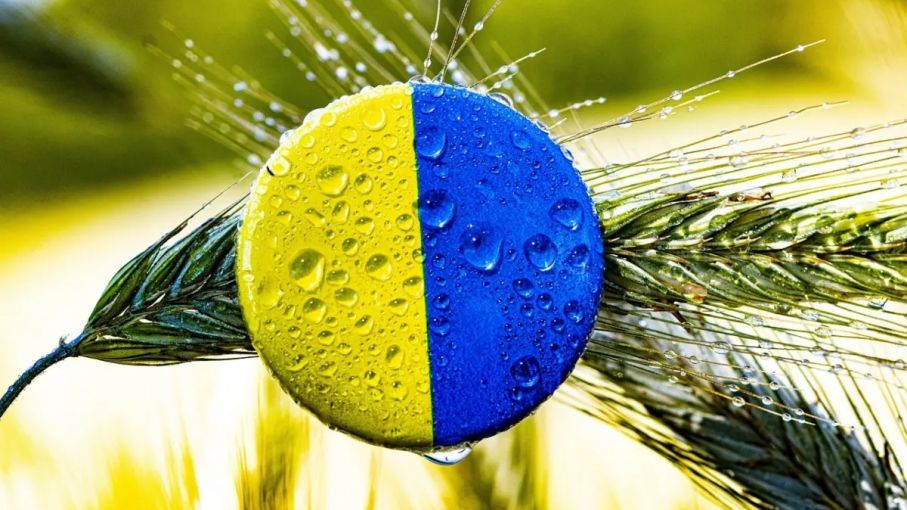 Ucrania podría exportar hasta el 75% del grano cosechado este año