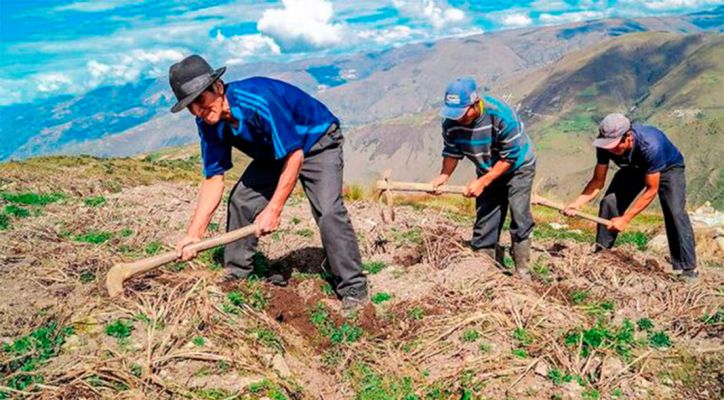 Gobierno de Perú prorroga el estado de emergencia en 18 regiones ante la amenaza del Fenómeno de El Niño