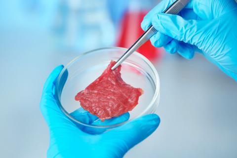 Legisladores de Brasil y Uruguay en pie de guerra contra la carne de laboratorio