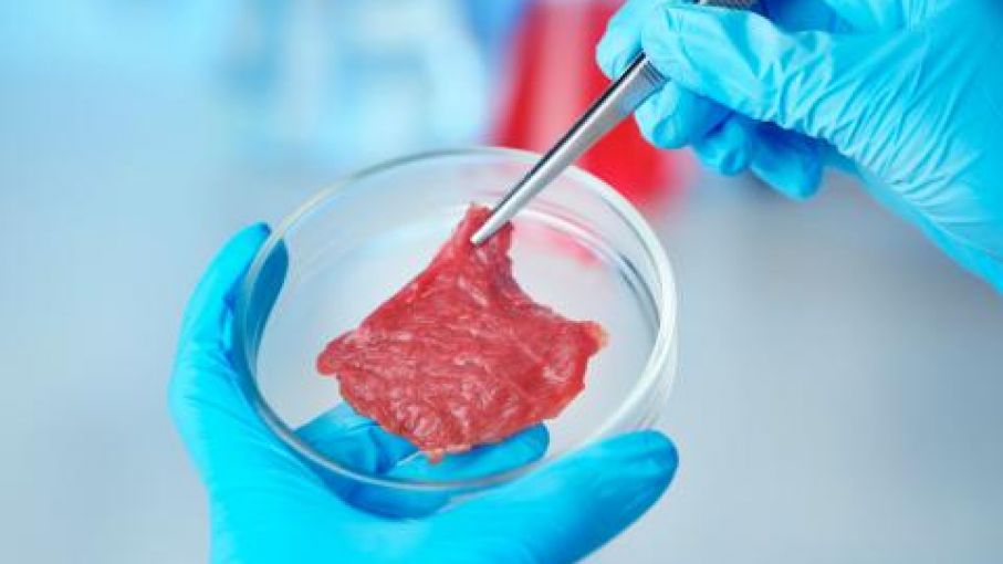 Legisladores de Brasil y Uruguay en pie de guerra contra la carne de laboratorio