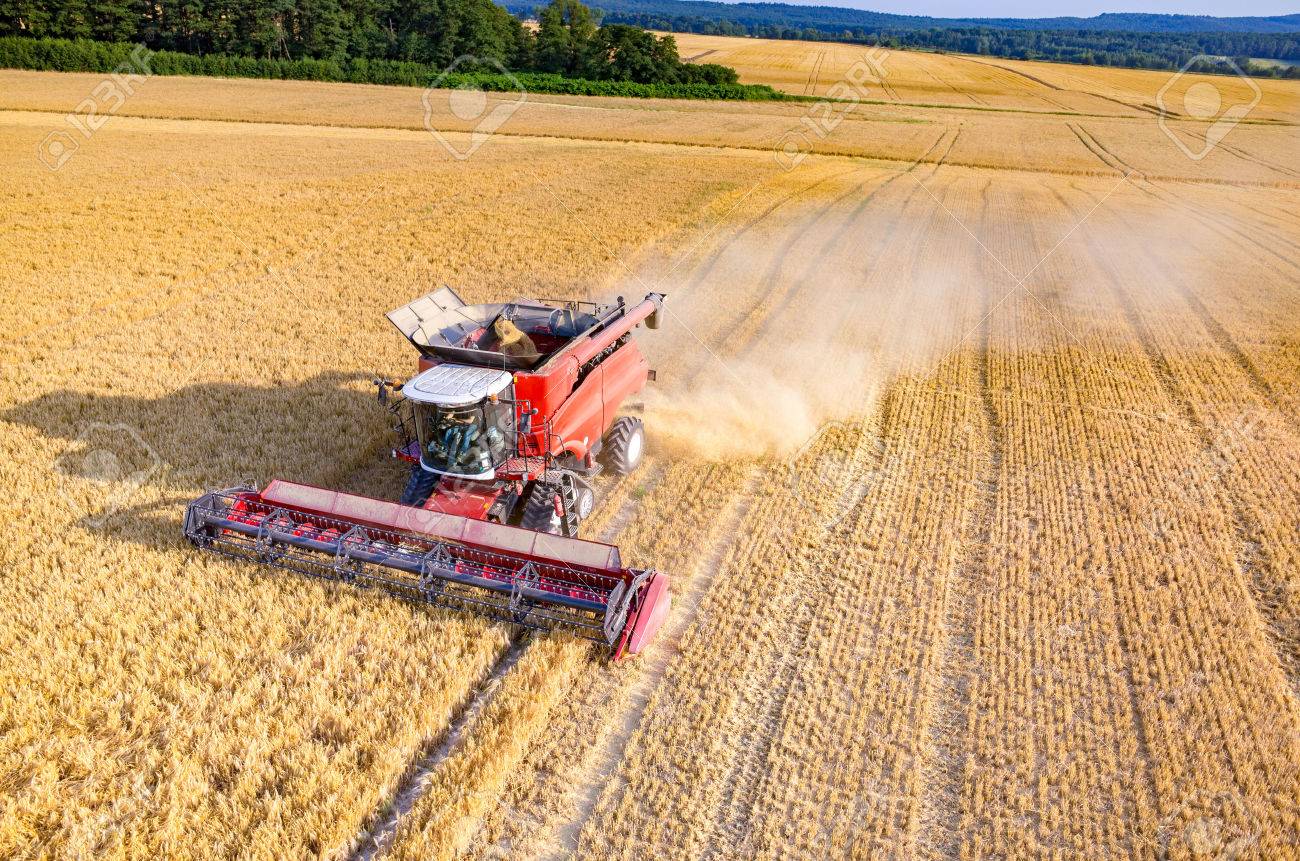En gráficos: qué proponen Milei, Massa, Bullrich, Bregman y Schiaretti para el agro