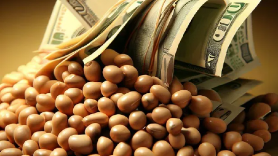 Se disparó el dólar y sacudió el mercado de agroinsumos