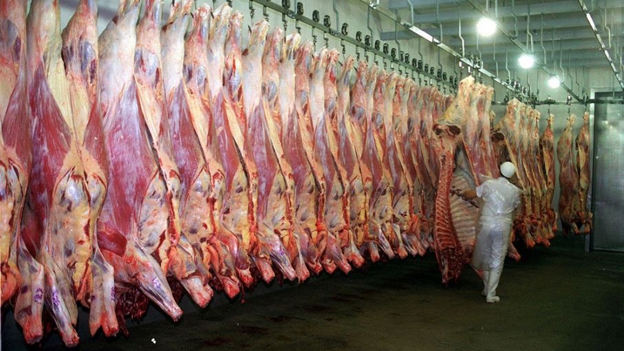 Turbulencias en el Mercado de la Carne Argentino: Gobierno Interviene Exportaciones