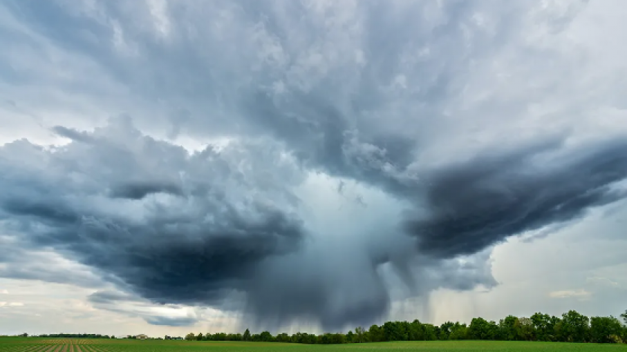 Desafíos y Esperanzas en el Pronóstico Agrícola Argentino: Lluvias Tardías y el Anhelo de un Cambio Positivo