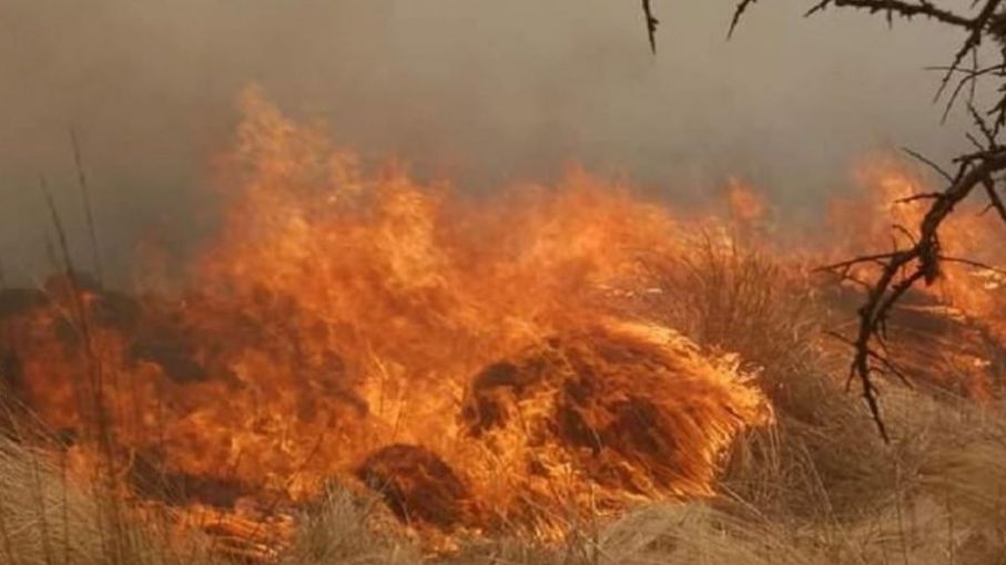 Varios focos de incendio en Córdoba en medio de la sequía y las altas temperaturas