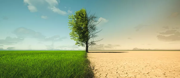 Desde Asia hasta América: el clima extremo amenaza con disparar los precios de los alimentos