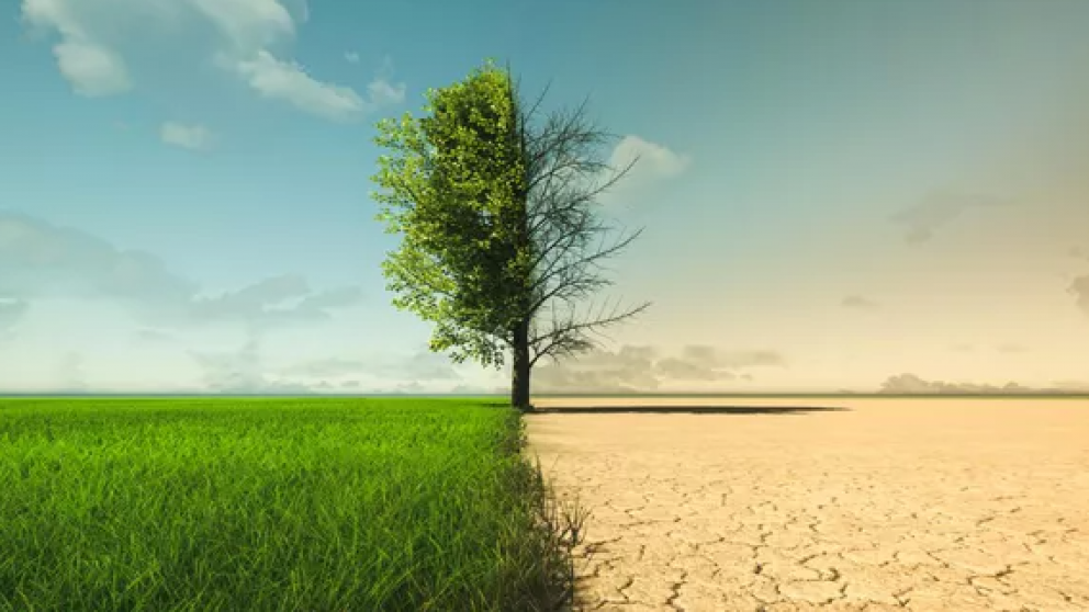 Desde Asia hasta Amrica: el clima extremo amenaza con disparar los precios de los alimentos