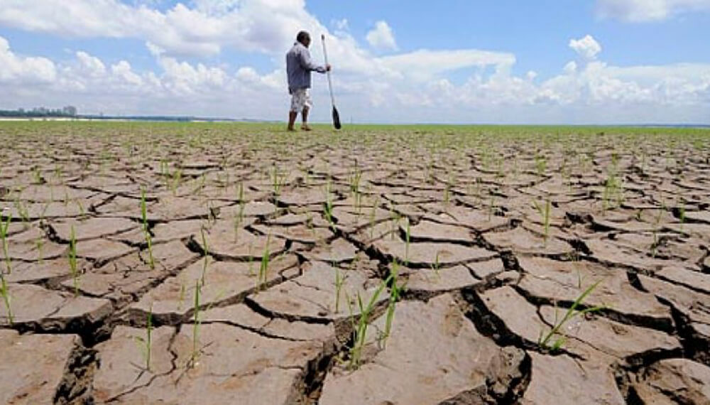 Productores bajo emergencia agraria en Neuquén pagarán tarifa reducida de energía