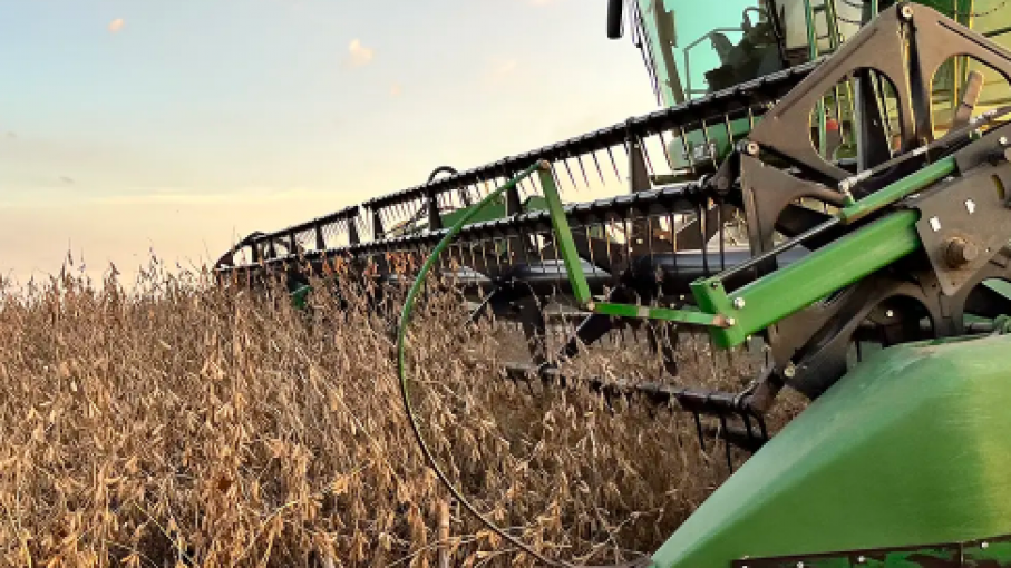 ¿El USDA Planea Realizar Más Recortes en el Rendimiento de los Cultivos en EE. UU.? Expertos Señalan que las Preocupaciones Climáticas en América del Sur Son la Historia Más Importante en este Momento