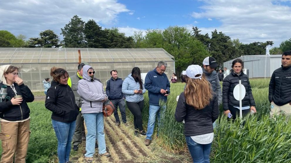 Produccin Agrcola Sostenible: Repensando Prcticas de Manejo con Biolgicos