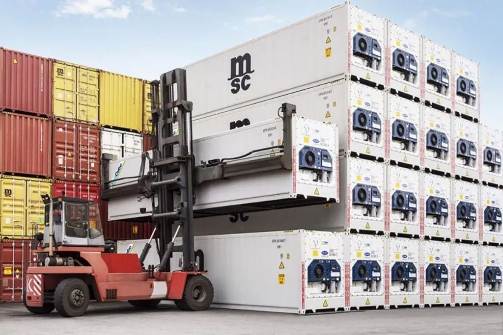 Exportadores de fruta chilenos presentan demanda contra la naviera Mediterranean Shipping Company (MSC)