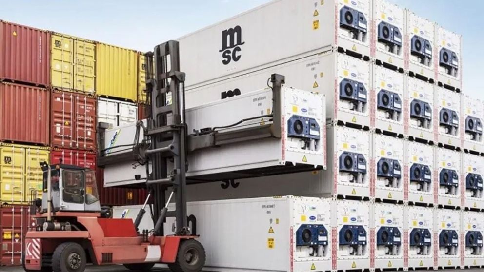 Exportadores de fruta chilenos presentan demanda contra la naviera Mediterranean Shipping Company (MSC)