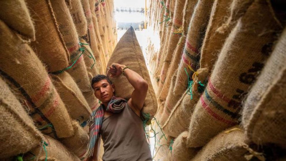 Crisis Cafetera en Colombia: Baja Produccin, Importaciones y Precios en Picada