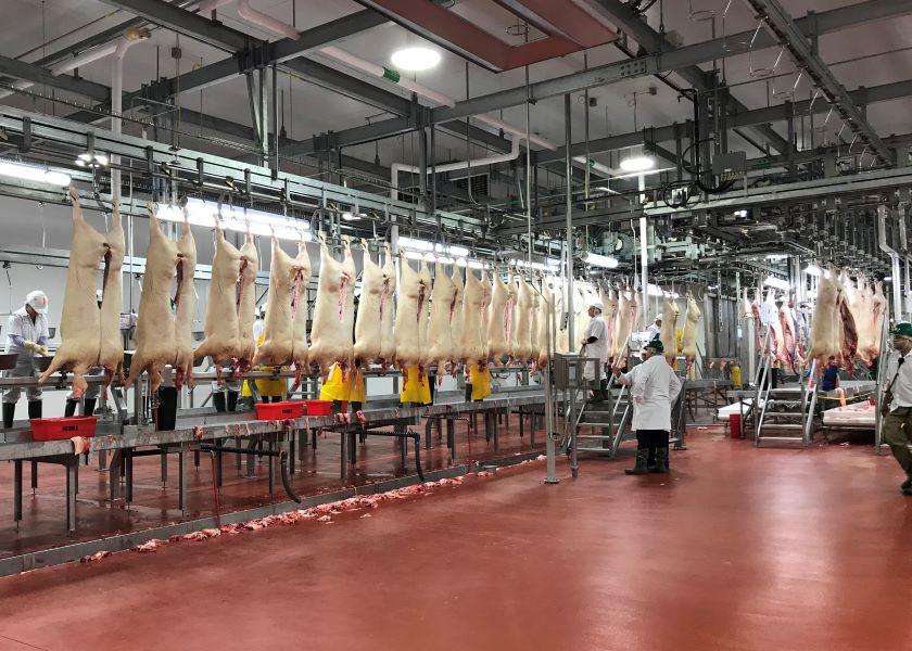 Empacadoras de Carne Vacuna en el Ojo de la Tormenta: Nueva Demandan Acusa Fijación de Precios
