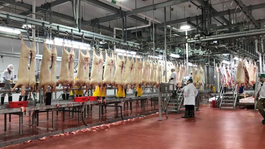 Empacadoras de Carne Vacuna en el Ojo de la Tormenta: Nueva Demandan Acusa Fijación de Precios