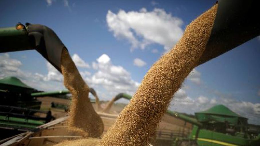 Desafíos climáticos para la siembra de soja en Brasil: Preocupaciones de los productores de Mato Grosso