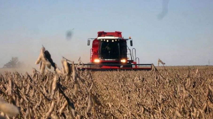 "El Niño" sigue sin ayudar a la cosecha: por falta de lluvias, el trigo está en un "periodo crítico"