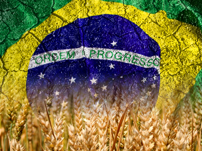 Brasil anuncia plan de cosecha 2024/25 para la agricultura de producción