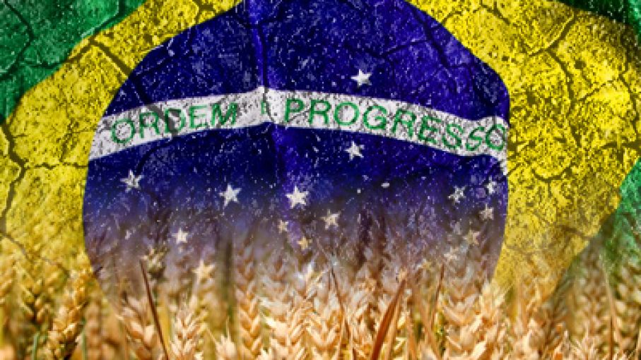 Brasil revela plan para subsidiar el comercio de trigo