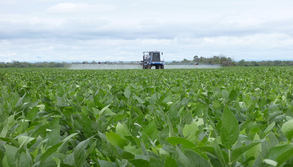 Paralización del Mercado de Insumos Agrícolas: Incertidumbre y desfinanciamiento del productor agropecuario